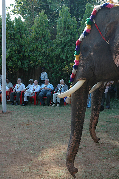 B'nai B'rth at Tripuniithura